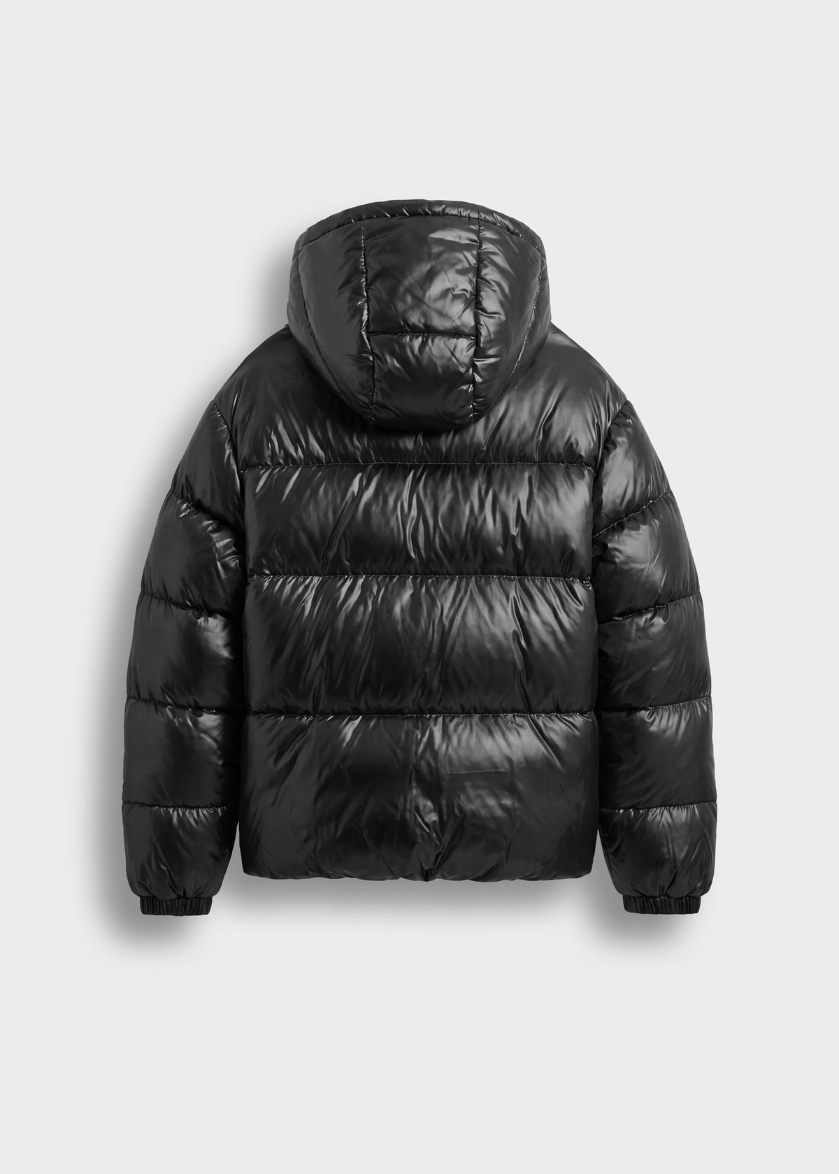 Hooded Puffer Jacket